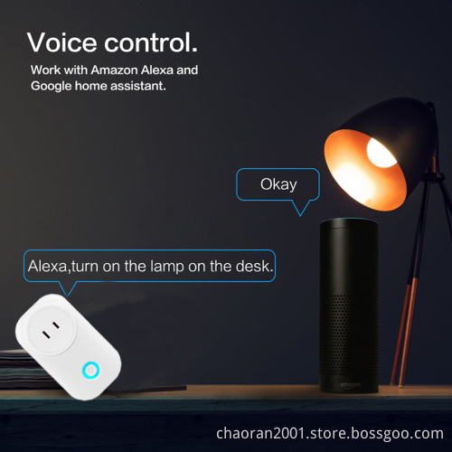 Chaoran Google Assistant Alexa Wholesale OEM Design Japan WiFi Smart Plug TP Link